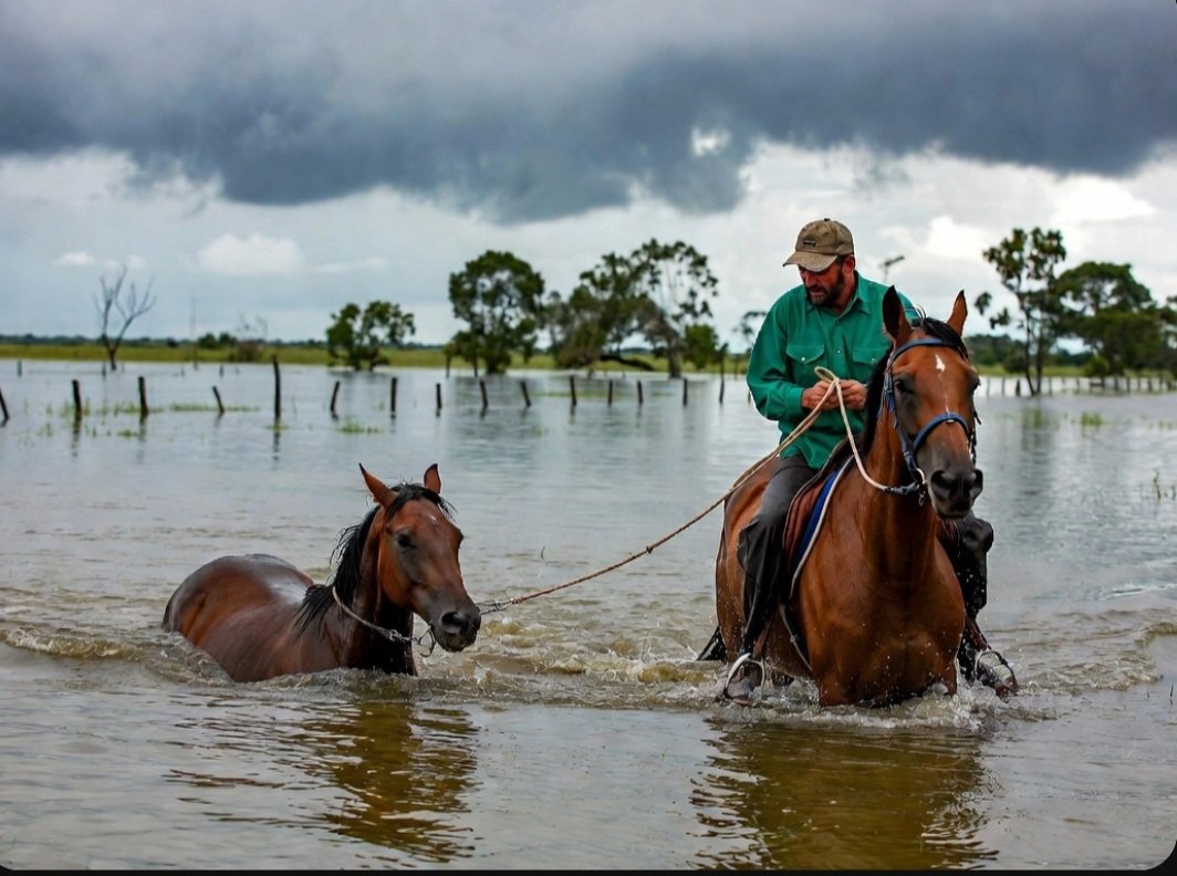 X video of Chance Ward rescuing horse in Texas flood garners 5 million views — related image 1 X video of Chance Ward rescuing horse in Texas flood garners 5 million views — related image 1